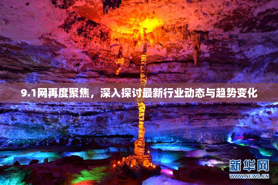 9.1网再度聚焦，深入探讨最新行业动态与趋势变化