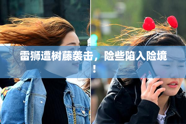 雷狮遭树藤袭击，险些陷入险境！