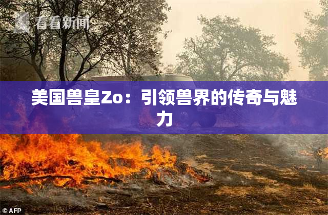 美国兽皇Zo：引领兽界的传奇与魅力