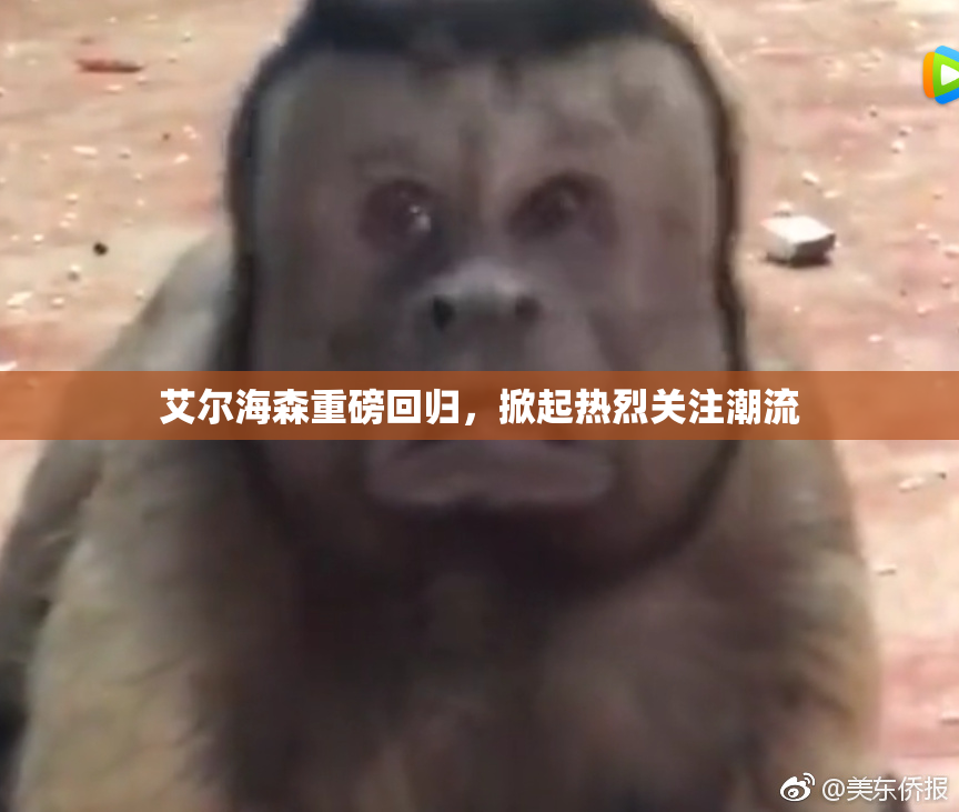 艾尔海森重磅回归，掀起热烈关注潮流