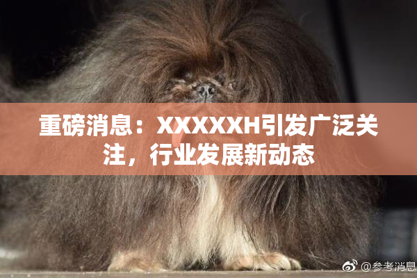 重磅消息：XXXXXH引发广泛关注，行业发展新动态