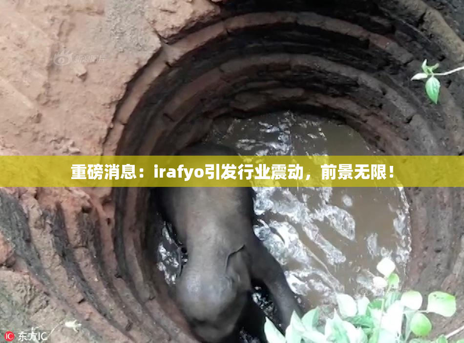 重磅消息：irafyo引发行业震动，前景无限！