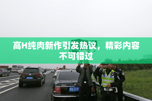高H纯肉新作引发热议，精彩内容不可错过