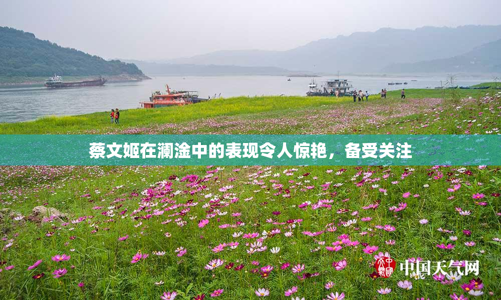 蔡文姬在澜淦中的表现令人惊艳，备受关注