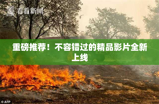 重磅推荐！不容错过的精品影片全新上线