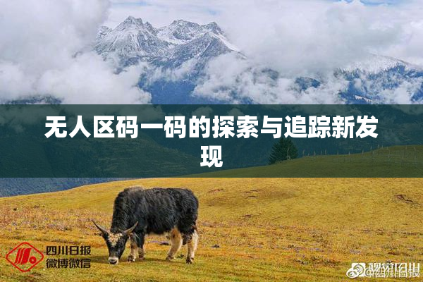 无人区码一码的探索与追踪新发现