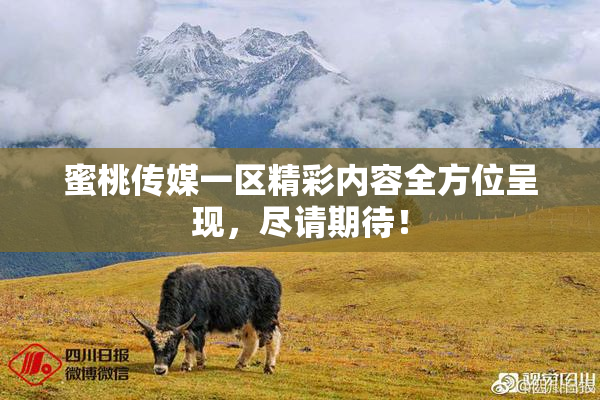 蜜桃传媒一区精彩内容全方位呈现，尽请期待！