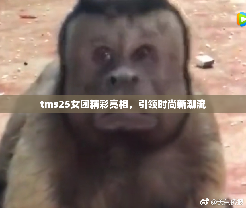 tms25女团精彩亮相，引领时尚新潮流