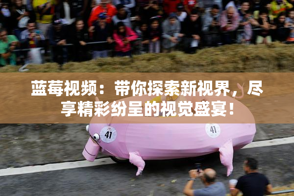 蓝莓视频：带你探索新视界，尽享精彩纷呈的视觉盛宴！
