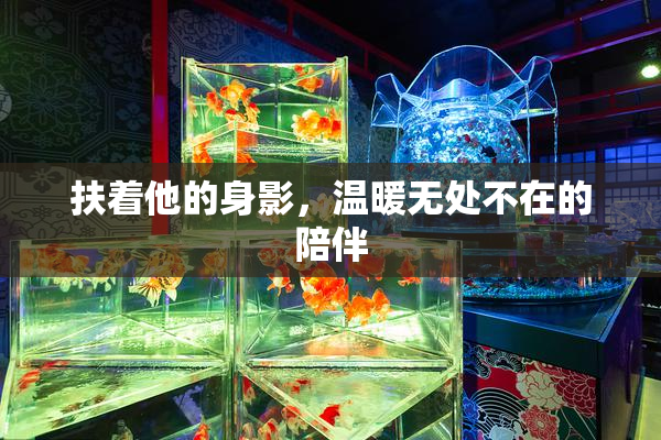 扶着他的身影，温暖无处不在的陪伴