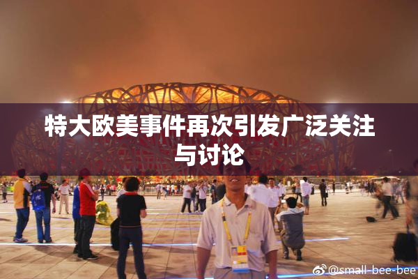 特大欧美事件再次引发广泛关注与讨论