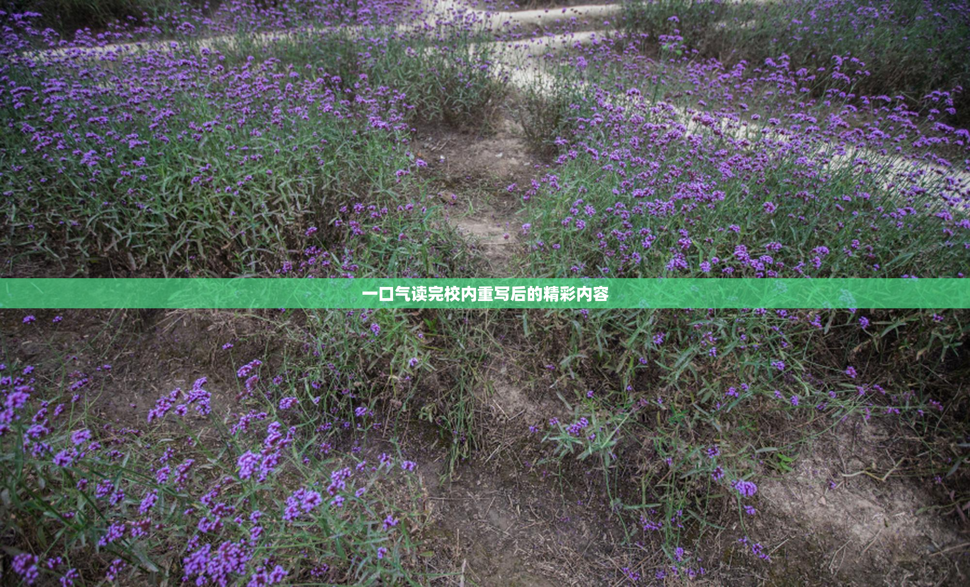 一口气读完校内重写后的精彩内容