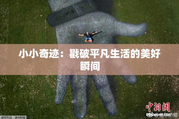 小小奇迹：戳破平凡生活的美好瞬间