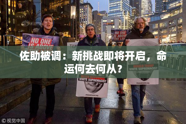 佐助被调：新挑战即将开启，命运何去何从？
