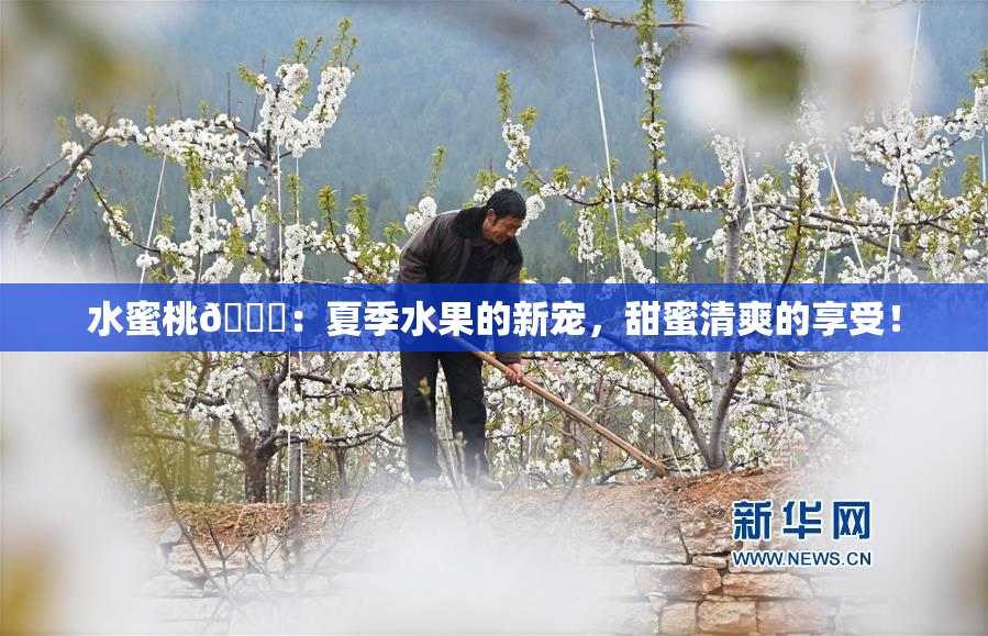 水蜜桃🍑：夏季水果的新宠，甜蜜清爽的享受！