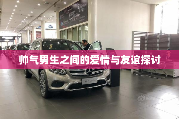 帅气男生之间的爱情与友谊探讨