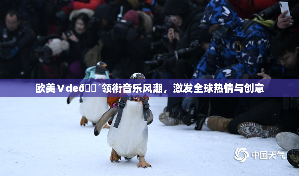 欧美Ⅴde🔴领衔音乐风潮，激发全球热情与创意