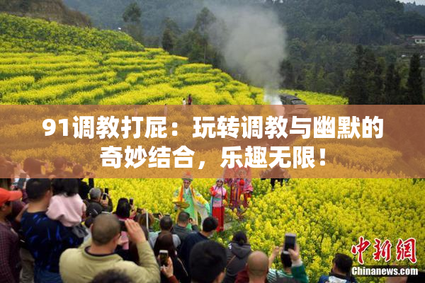 91调教打屁：玩转调教与幽默的奇妙结合，乐趣无限！
