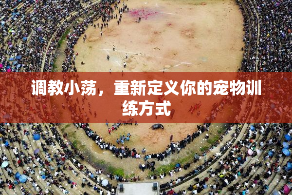调教小荡，重新定义你的宠物训练方式