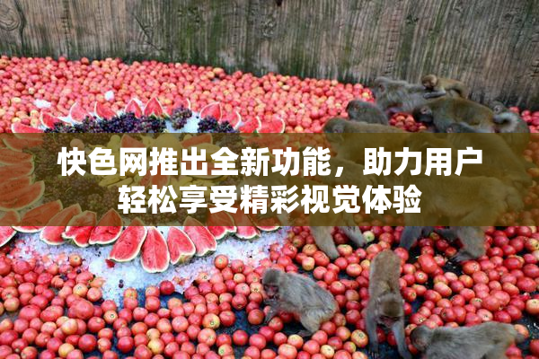 快色网推出全新功能，助力用户轻松享受精彩视觉体验