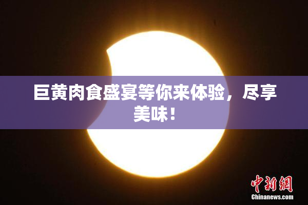 巨黄肉食盛宴等你来体验，尽享美味！