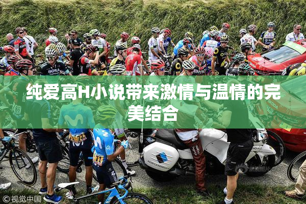 纯爱高H小说带来激情与温情的完美结合