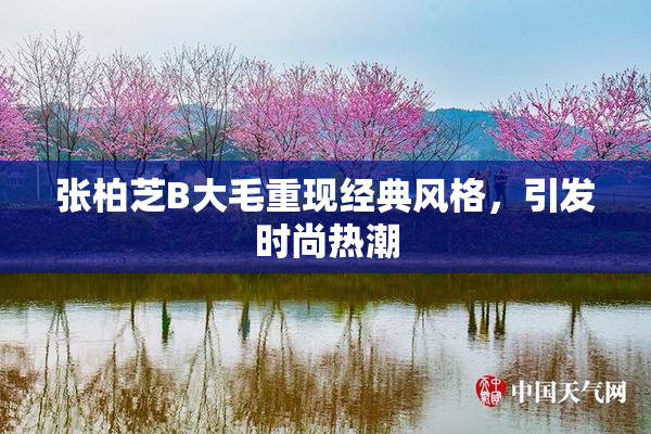 张柏芝B大毛重现经典风格，引发时尚热潮