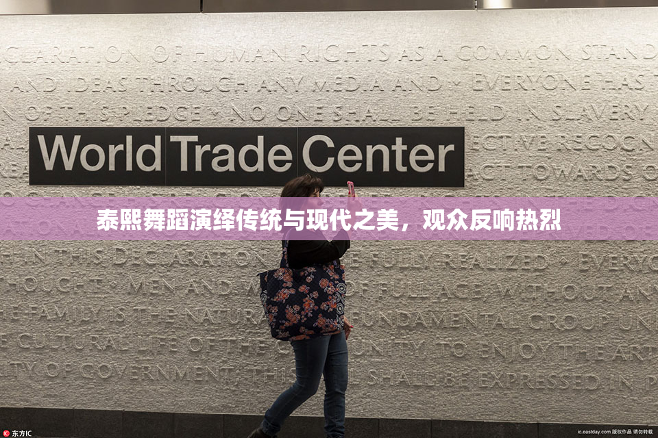 泰熙舞蹈演绎传统与现代之美，观众反响热烈