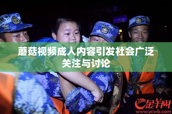 蘑菇视频成人内容引发社会广泛关注与讨论