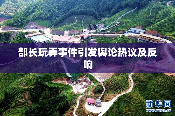 部长玩弄事件引发舆论热议及反响