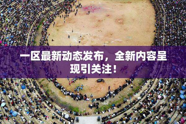 一区最新动态发布，全新内容呈现引关注！