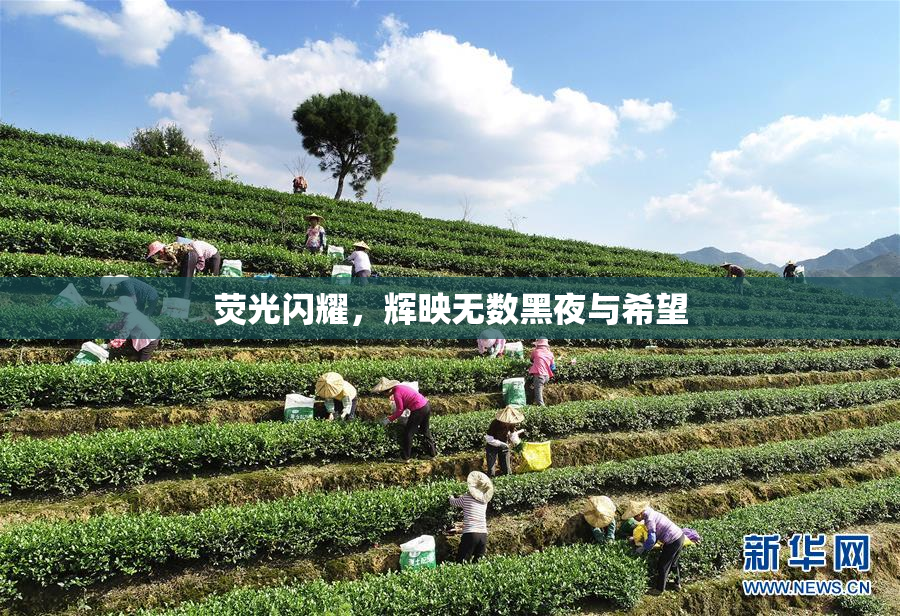 荧光闪耀，辉映无数黑夜与希望