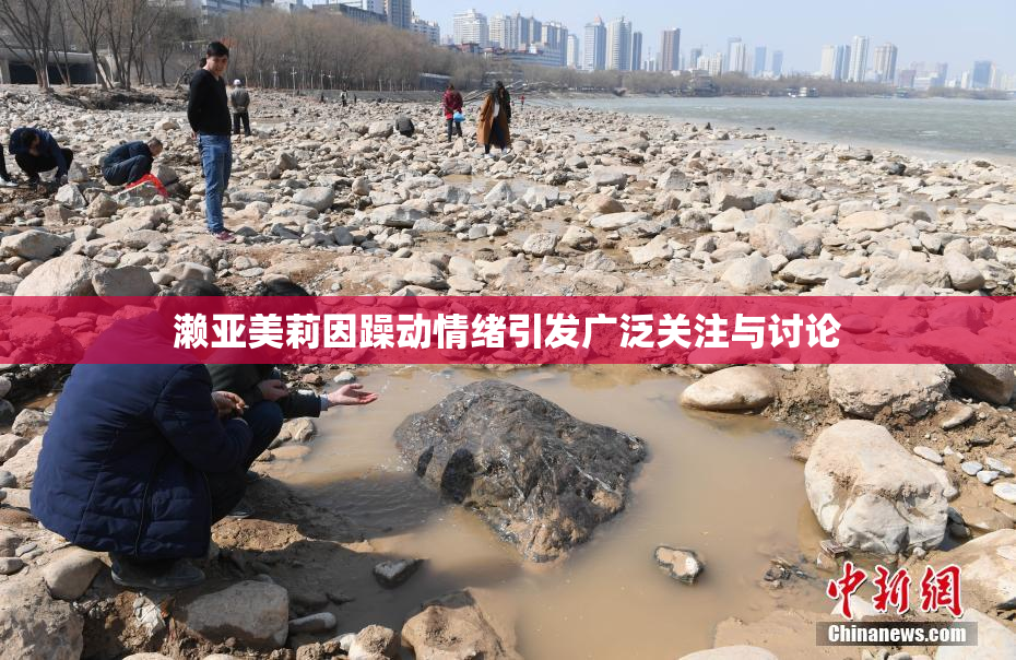 濑亚美莉因躁动情绪引发广泛关注与讨论