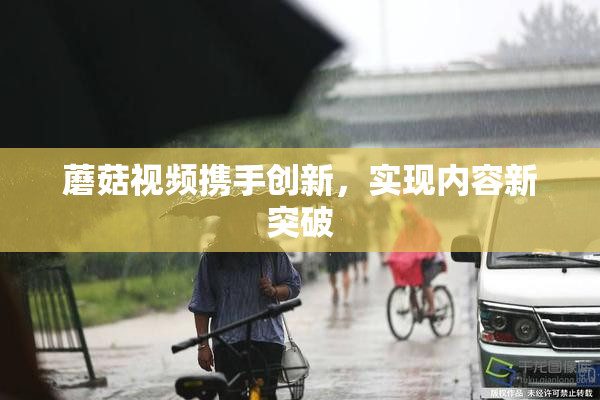 蘑菇视频携手创新，实现内容新突破
