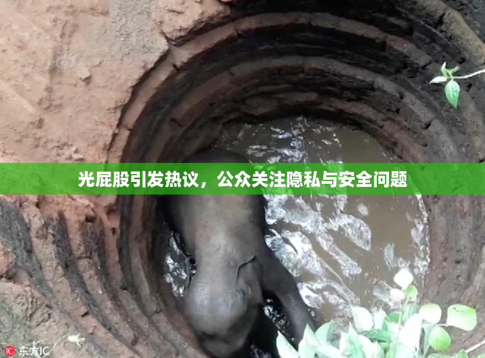 光屁股引发热议，公众关注隐私与安全问题