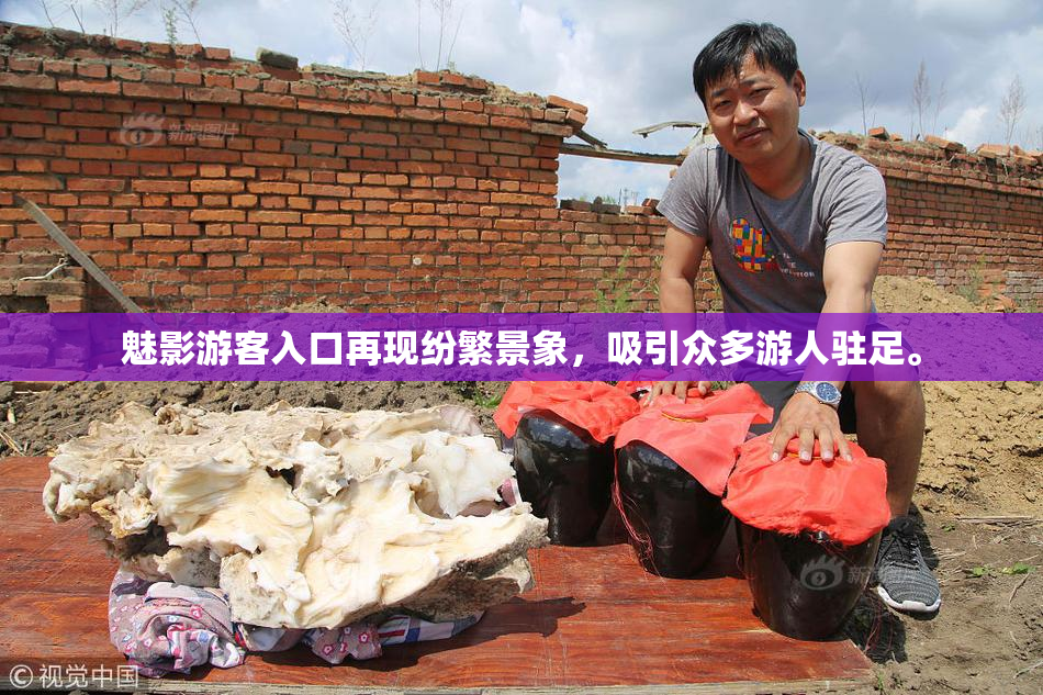 魅影游客入口再现纷繁景象，吸引众多游人驻足。
