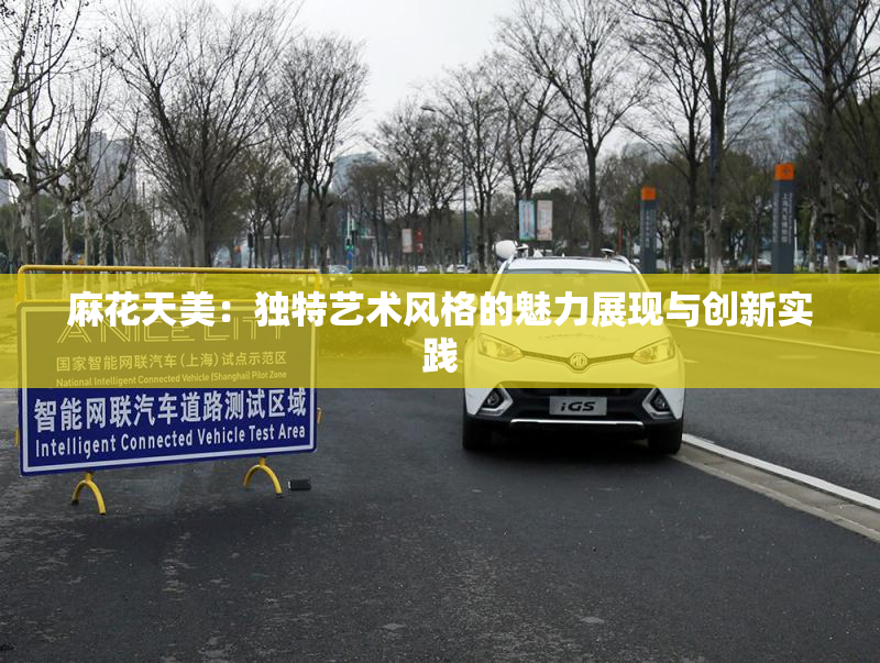 麻花天美：独特艺术风格的魅力展现与创新实践