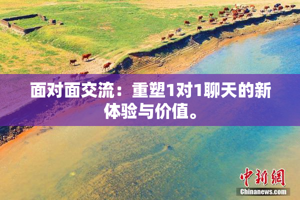 面对面交流：重塑1对1聊天的新体验与价值。