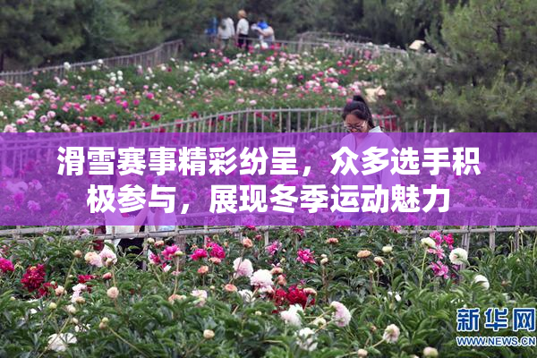 滑雪赛事精彩纷呈，众多选手积极参与，展现冬季运动魅力