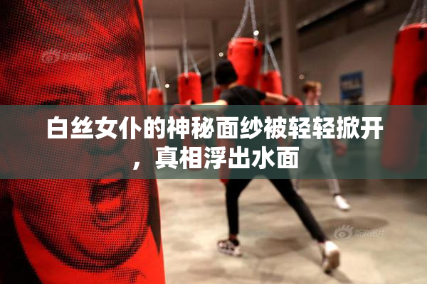 白丝女仆的神秘面纱被轻轻掀开，真相浮出水面