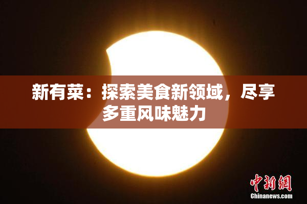 新有菜：探索美食新领域，尽享多重风味魅力