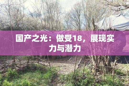 国产之光：做受18，展现实力与潜力
