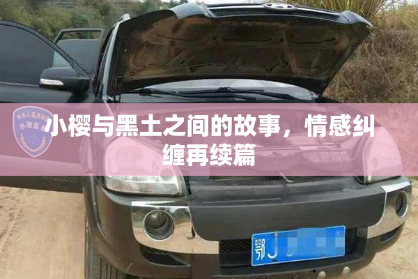 小樱与黑土之间的故事，情感纠缠再续篇