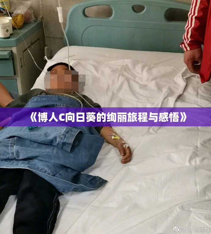 《博人C向日葵的绚丽旅程与感悟》