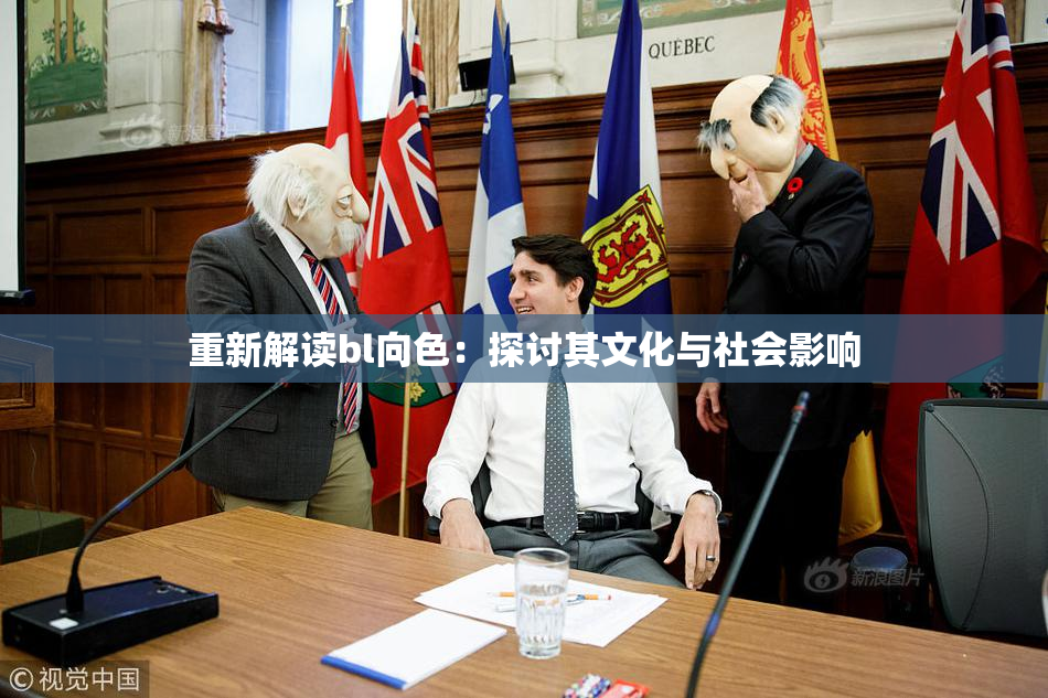 重新解读bl向色：探讨其文化与社会影响