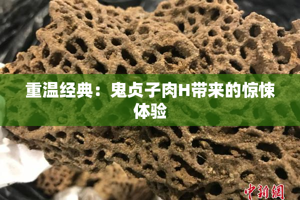 重温经典：鬼贞子肉H带来的惊悚体验