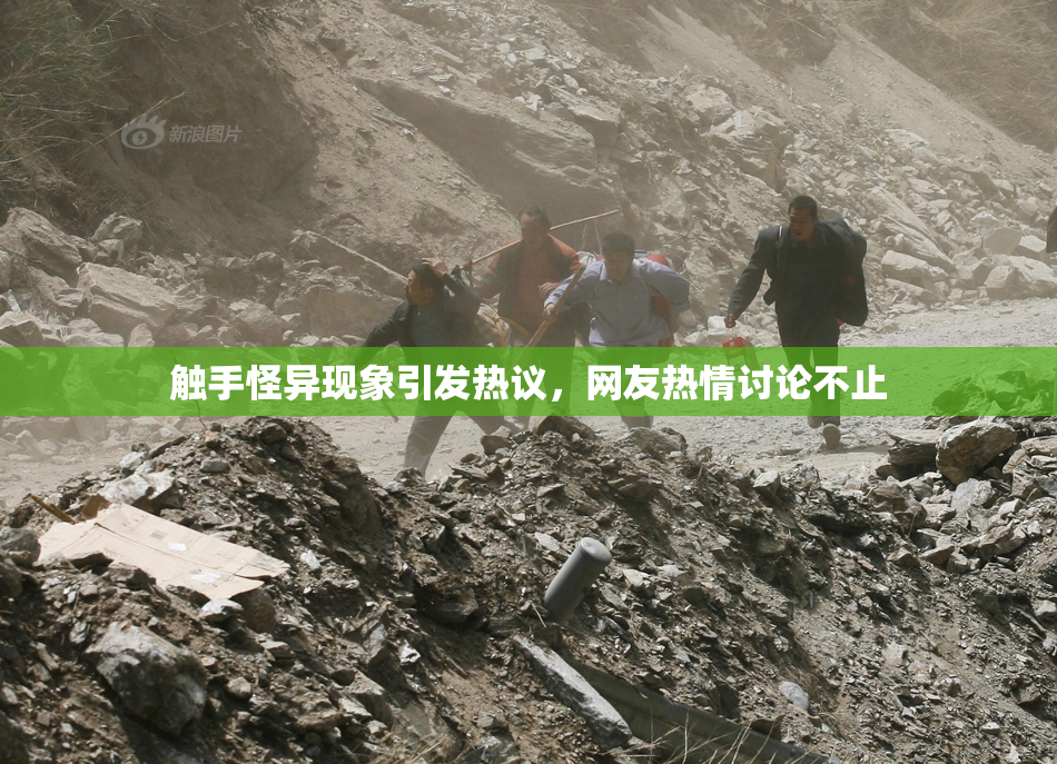 触手怪异现象引发热议，网友热情讨论不止