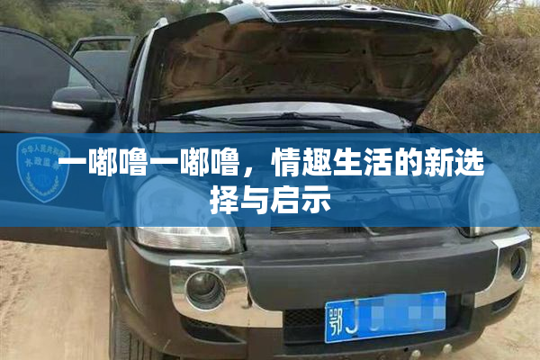 一嘟噜一嘟噜，情趣生活的新选择与启示