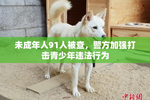 未成年人91人被查，警方加强打击青少年违法行为