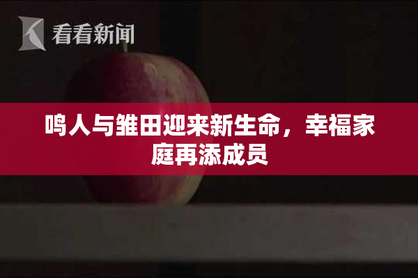 鸣人与雏田迎来新生命，幸福家庭再添成员